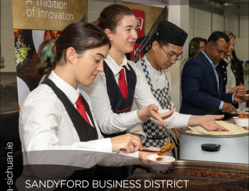 Sandyford Business District Association Culture Night (September 2024)